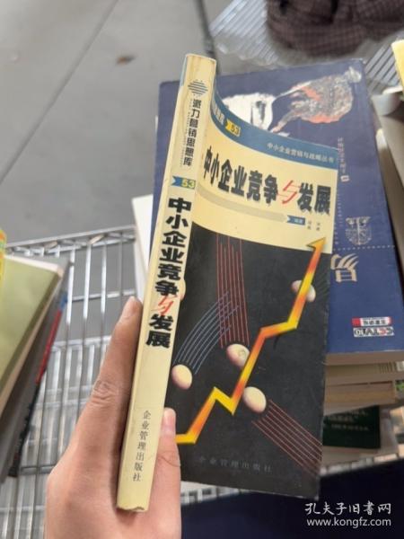 中小企业竞争与发展