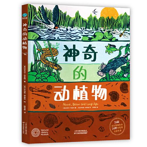 神奇的動(dòng)植物：英國(guó)自然歷史博物館聯(lián)名出版的藝術(shù)級(jí)兒童自然科普，送給6-12歲孩子的絕美禮物！帶孩子探索自然科學(xué)、梳理地球生命史的奇妙生物科普