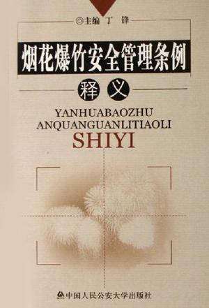 烟花爆竹安全管理条例释义