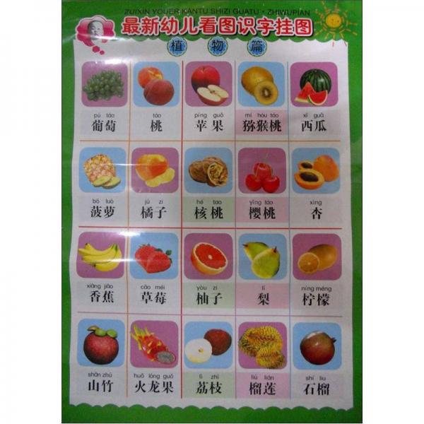 最新幼兒看圖識(shí)字掛圖：植物篇
