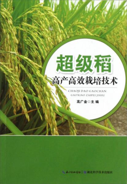 超級稻高產高效栽培技術