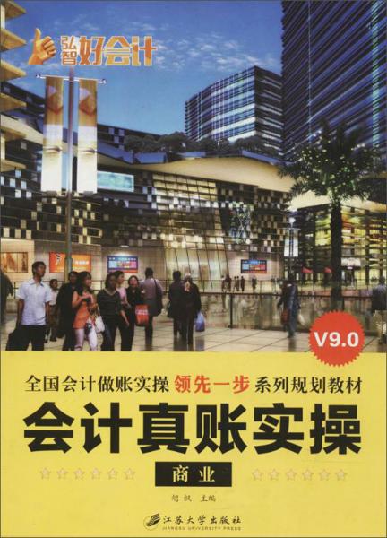 會計(jì)真賬實(shí)操
