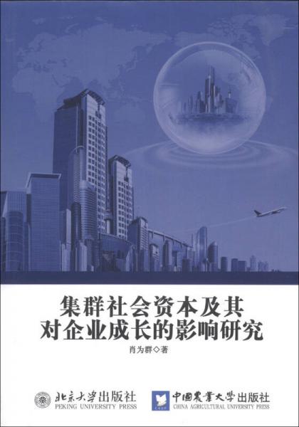 集群社會資本及其對企業(yè)成長的影響研究