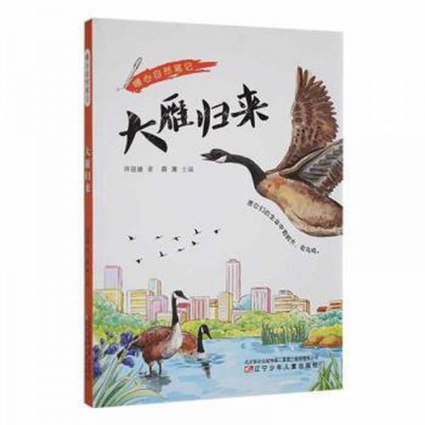 全新正版圖書(shū) 暖心自然-大雁歸來(lái)許迎坡遼寧少年兒童出版社9787531589143