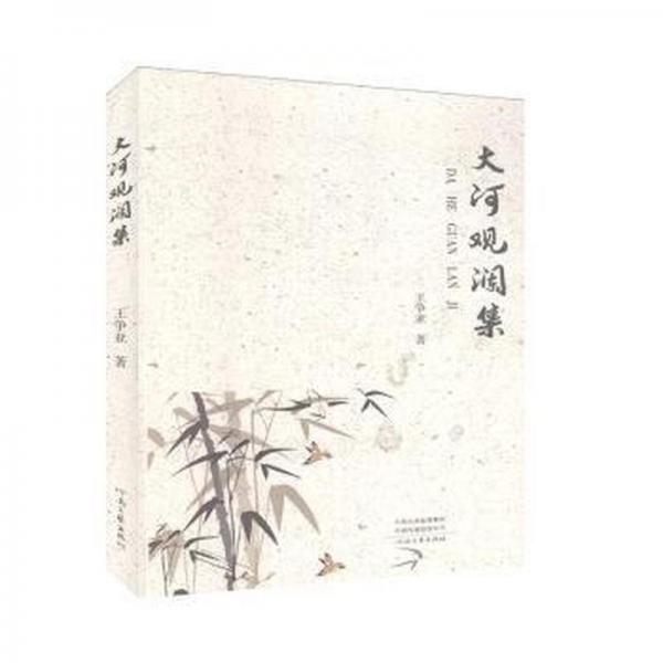 大河觀瀾集 中國現(xiàn)當代文學 王爭亞著 新華正版
