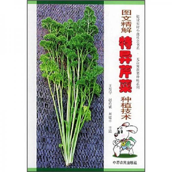 圖文精解特異芹菜種植技術(shù)