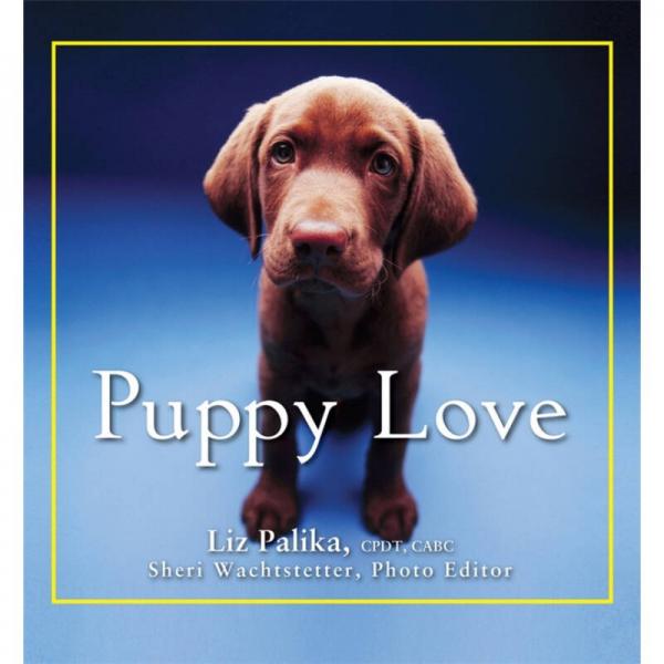 Puppy Love 寵物狗