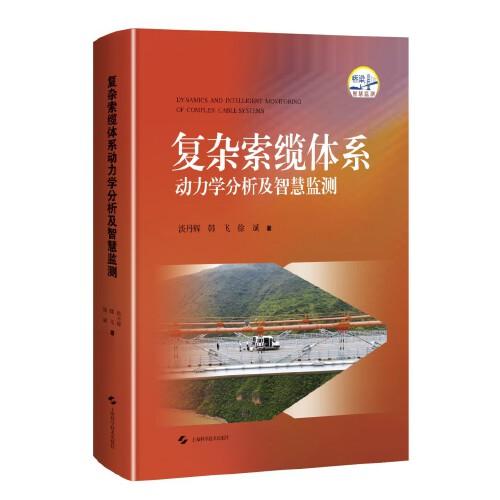 復(fù)雜索纜體系動力學(xué)分析及智慧監(jiān)測