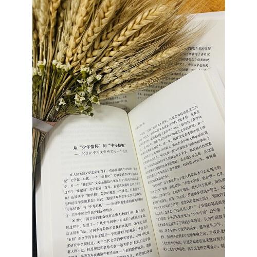 陈思和人文演讲录