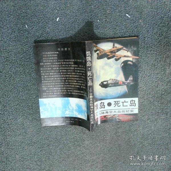 饑餓島、死亡島:日美瓜島海陸空大血戰(zhàn)紀實