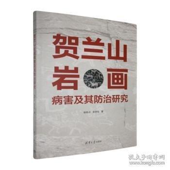 贺兰山岩画病害及其防治研究