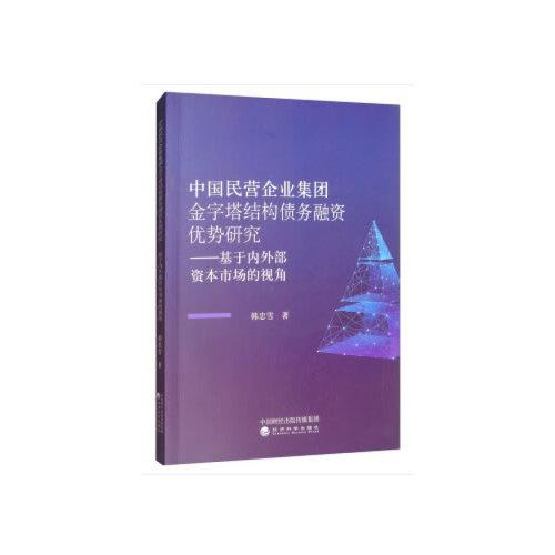 中國(guó)民營(yíng)企業(yè)集團(tuán)金字塔結(jié)構(gòu)債務(wù)融資優(yōu)勢(shì)研究