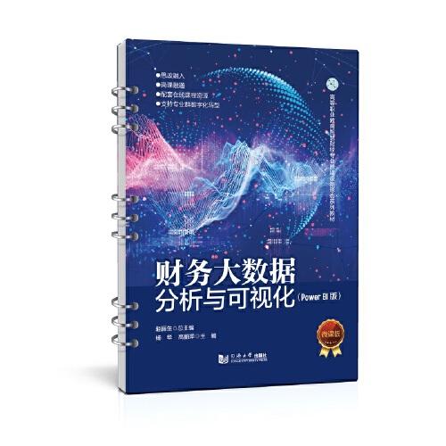 財務(wù)大數(shù)據(jù)分析與可視化（Power BI版）（）
