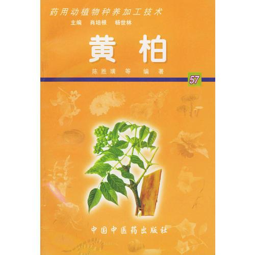 黃柏——藥用動植物種養(yǎng)加工技術(shù)