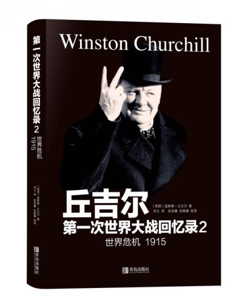 第一次世界大戰(zhàn)回憶錄2：世界危機(jī)