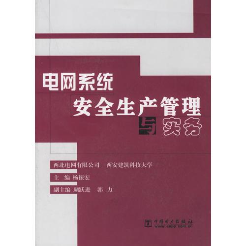 电网系统安全生产管理与实务