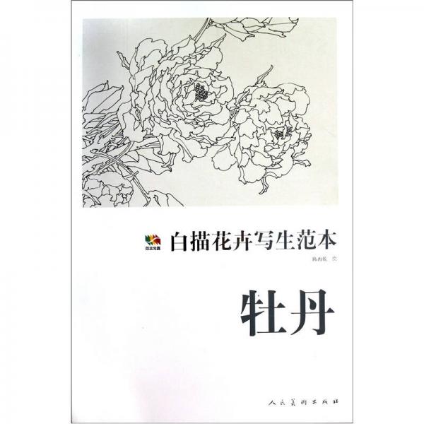 牡丹-白描花卉寫生范本