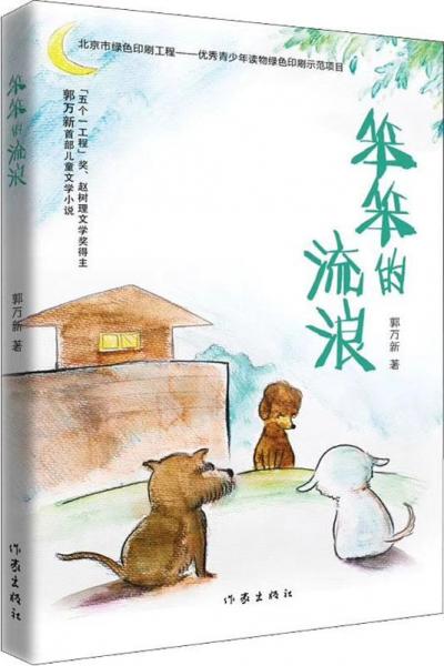 笨笨的流浪 