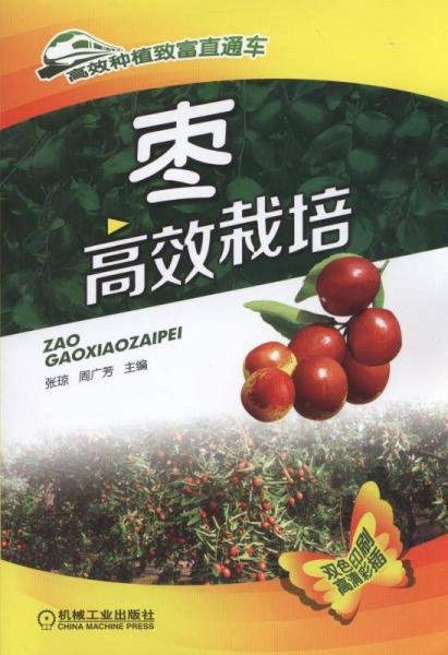 棗高效栽培