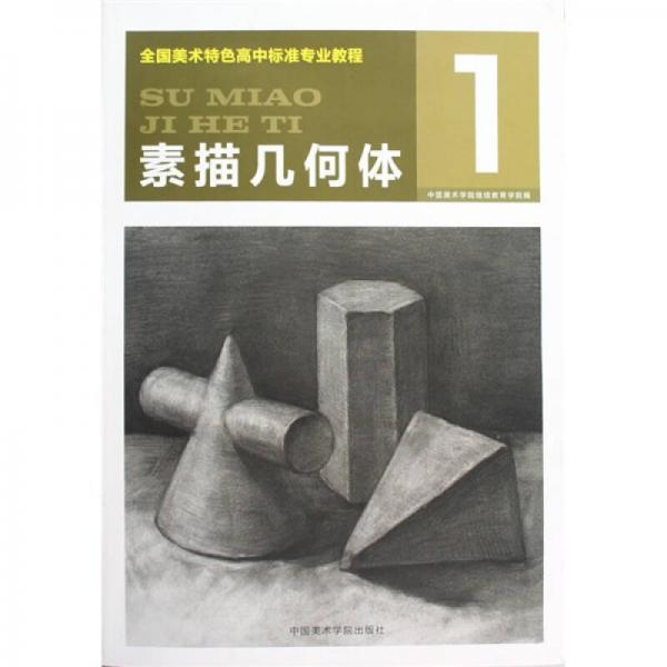 全國美術(shù)特色高中標(biāo)準(zhǔn)專業(yè)教程：素描幾何體