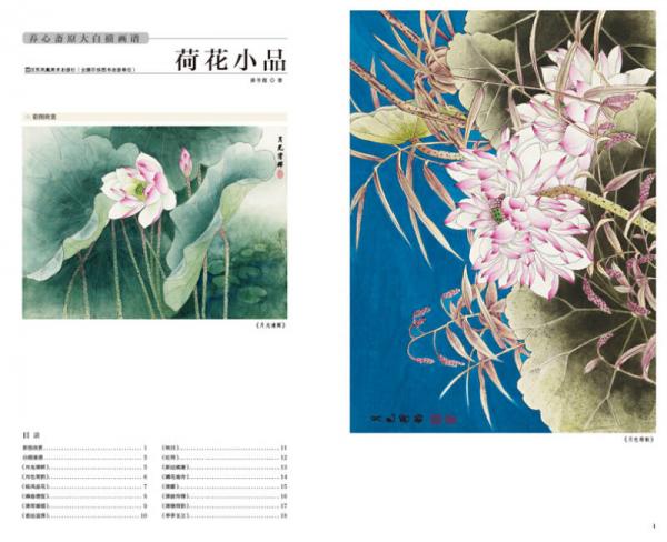 养心斋原大白描画谱-荷花小品
