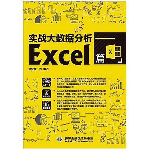 實(shí)戰(zhàn)大數(shù)據(jù)分析——Excel篇