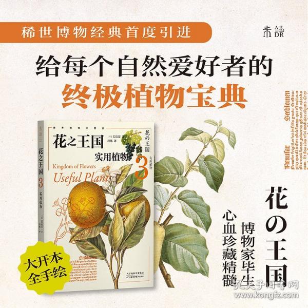 花之王國3：實(shí)用植物