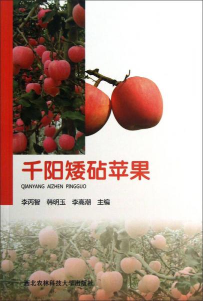 千陽矮砧蘋果