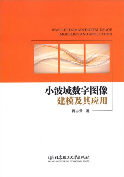 小波域数字图像建模及其应用