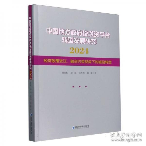 中國地方政府投融資平臺轉型發(fā)展研究 2024