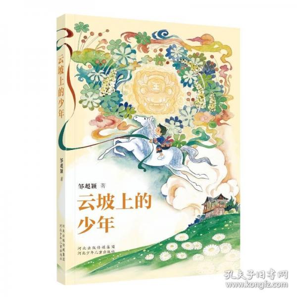 云坡上的少年