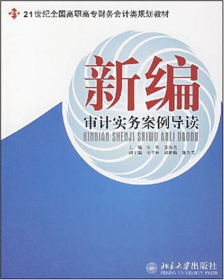 新编审计实务案例导读