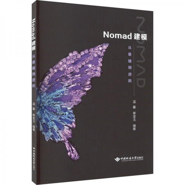 Nomad建模