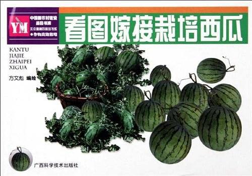 看圖嫁接栽培西瓜——看圖學(xué)技術(shù)叢書