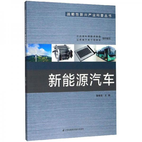 新能源汽車/戰(zhàn)略性新興產(chǎn)業(yè)科普叢書