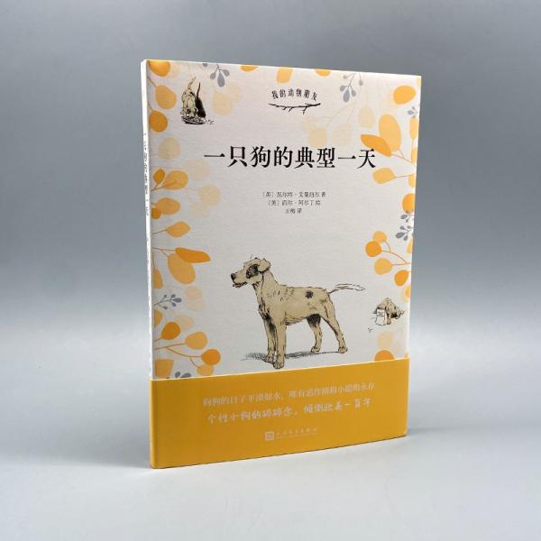 一只狗的典型一天