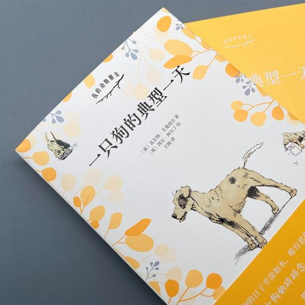 一只狗的典型一天