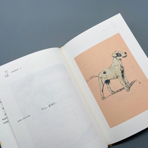 一只狗的典型一天