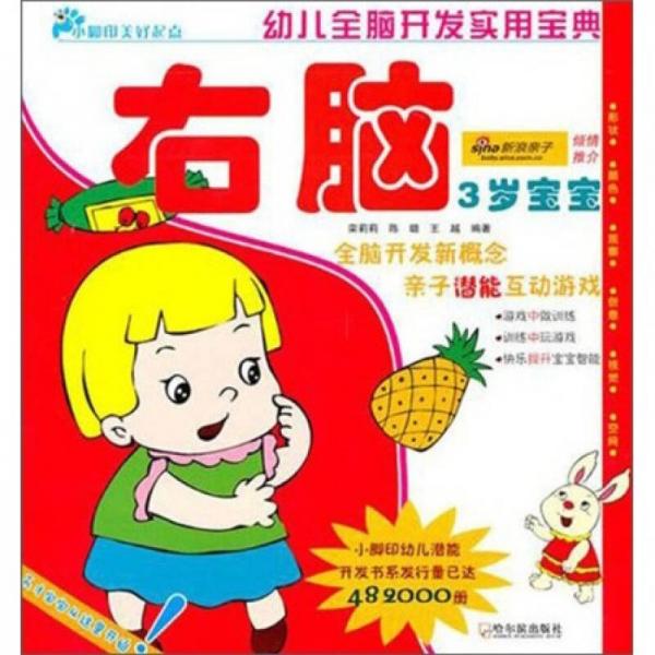 幼兒全腦開發(fā)實用寶典：右腦（3歲寶寶）