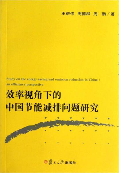 效率視角下的中國節(jié)能減排問題研究