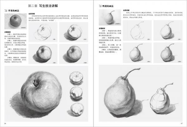 基础教学实用版 素描静物