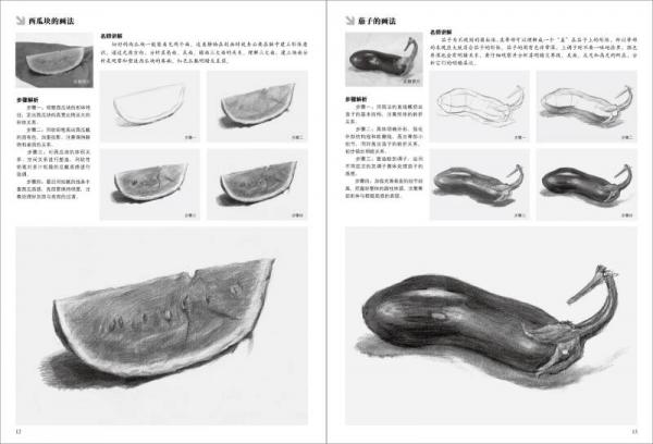 基础教学实用版 素描静物