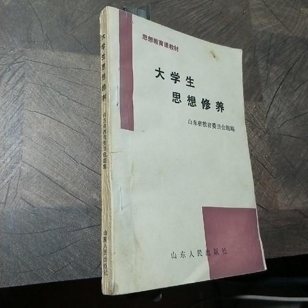 大學(xué)生思想修養(yǎng)