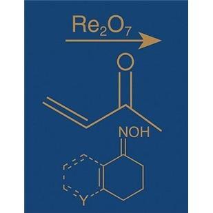 ComprehensiveOrganicNameReactionsandReagents