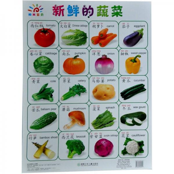 阳光宝贝大挂图：新鲜的蔬菜