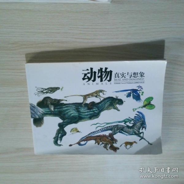 動(dòng)物真實(shí)與想象 美國(guó)畫家 Terryl Whitlatch