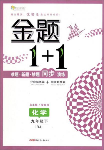 2017春 全能学练金题1+1：化学（九年级下 RJ）