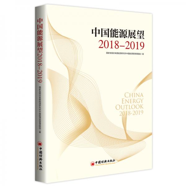 中國(guó)能源展望2018—2019