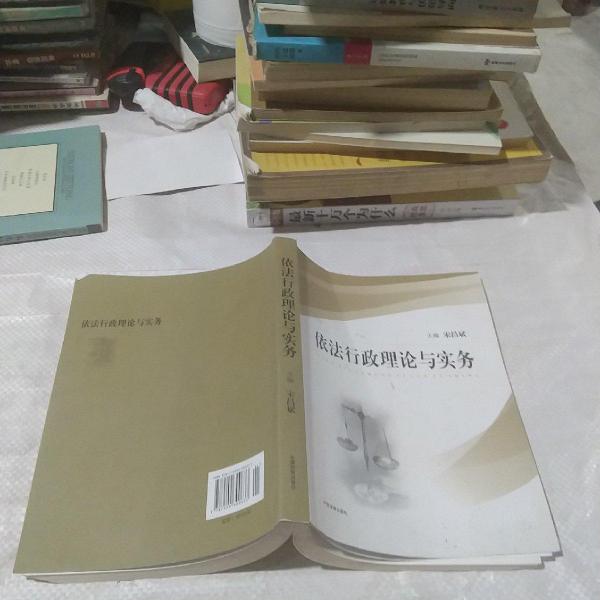 依法行政理論與實務(wù)