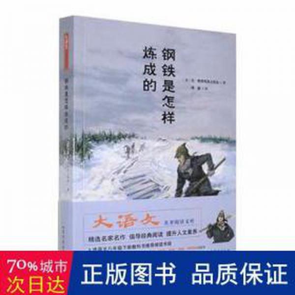 鋼鐵是怎樣煉成的 中國文學(xué)名著讀物 (蘇)尼·奧斯特洛夫斯基著 新華正版